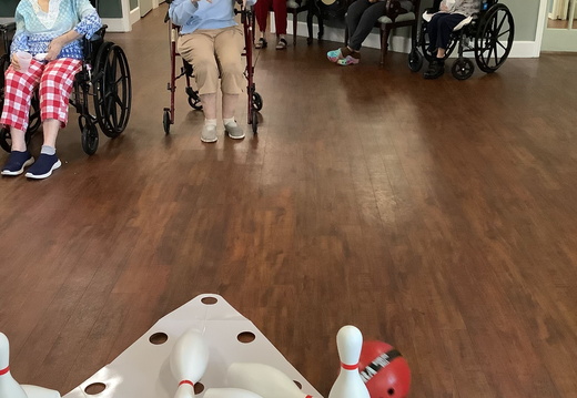 IMG 2371